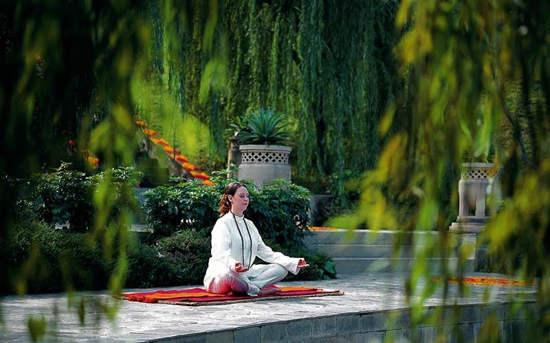 Wellness & Yoga Tour to Ananda in the Himalayas Near Rishikesh, India