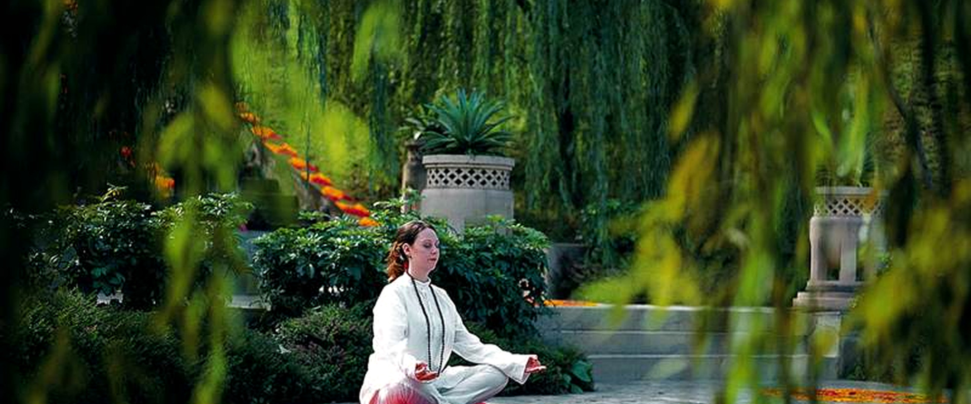 Ananda Meditation