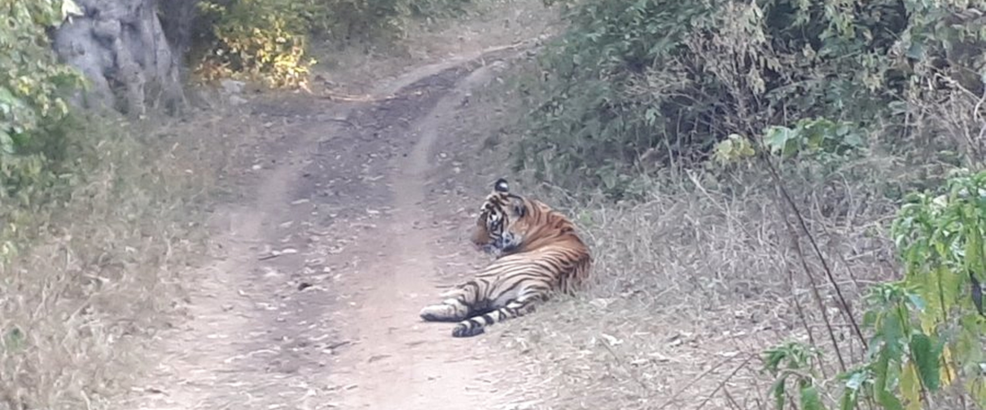 Sariska Tiger Reserve
